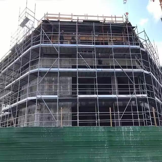 Scaffolding Project